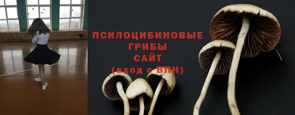 трава Елизово